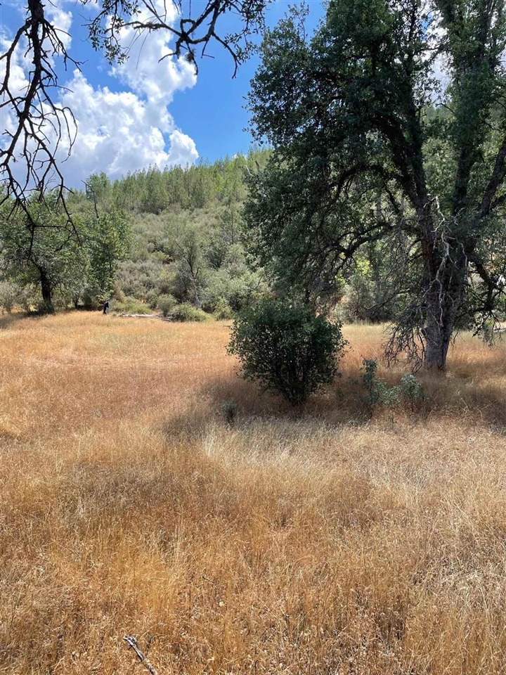 Bull Creek Rd 2S05, Coulterville, CA, 95311