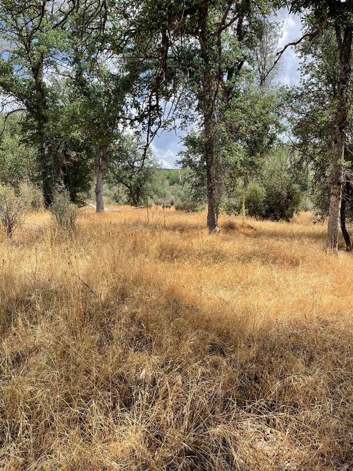 Bull Creek Rd 2S05, Coulterville, CA, 95311