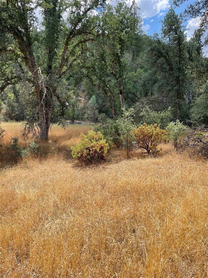 Bull Creek Rd 2S05, Coulterville, CA, 95311