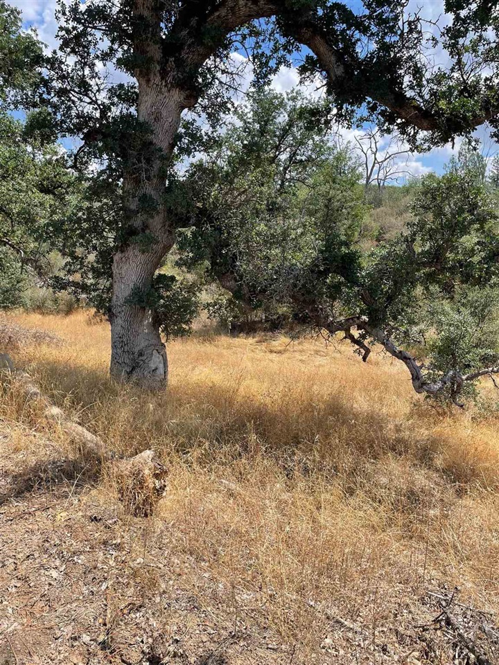 Bull Creek Rd 2S05, Coulterville, CA, 95311