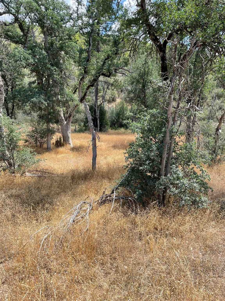 Bull Creek Rd 2S05, Coulterville, CA, 95311