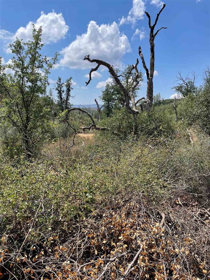 Bull Creek Rd 2S05, Coulterville, CA, 95311