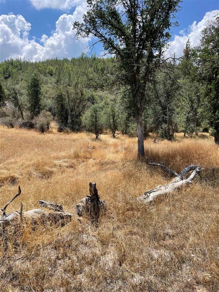 Bull Creek Rd 2S05, Coulterville, CA, 95311