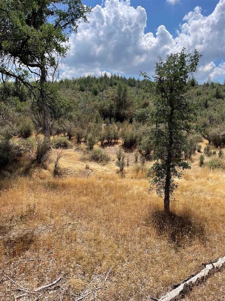 Bull Creek Rd 2S05, Coulterville, CA, 95311