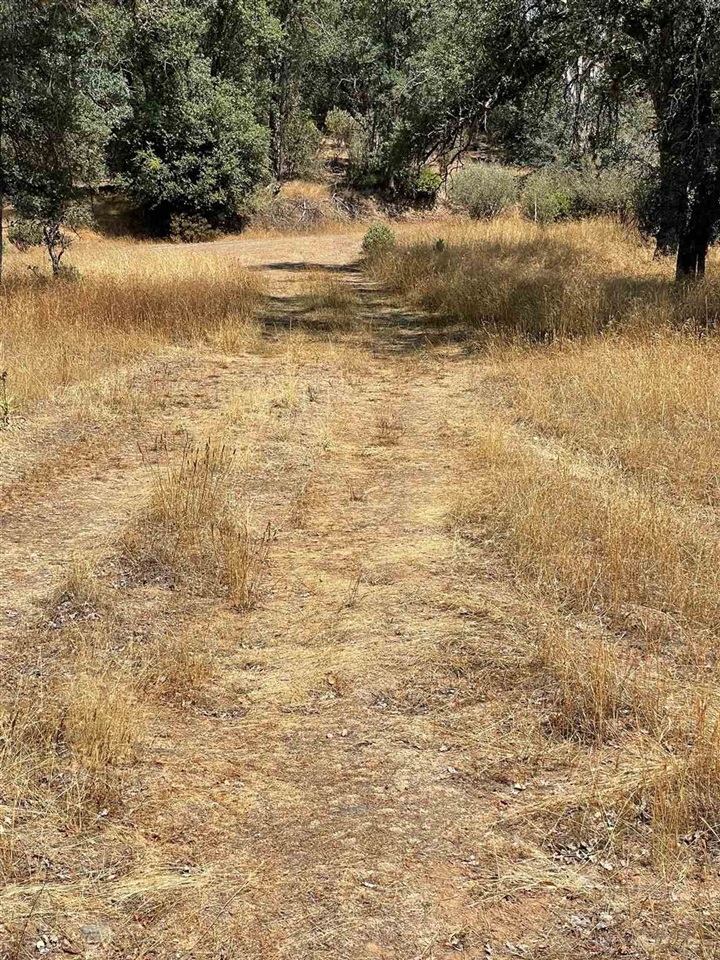 Bull Creek Rd 2S05, Coulterville, CA, 95311