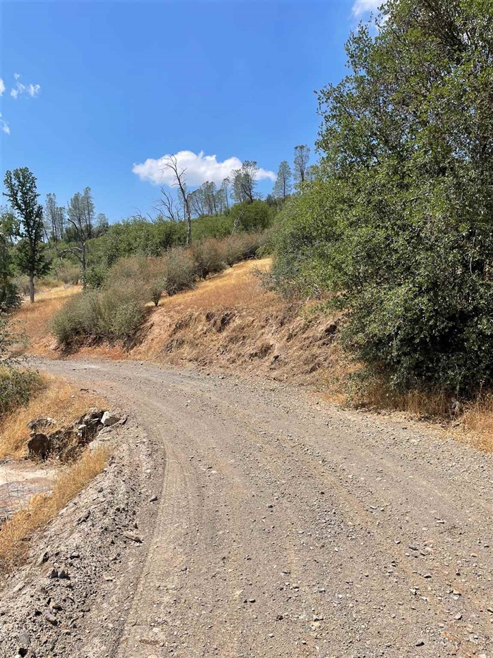 Bull Creek Rd 2S05, Coulterville, CA, 95311