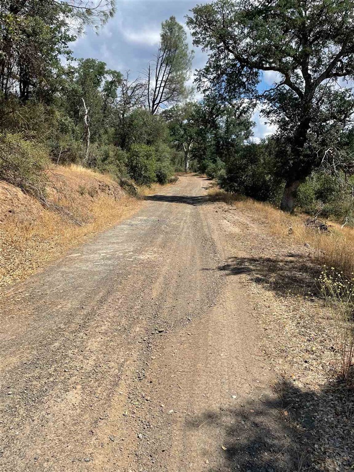 Bull Creek Rd 2S05, Coulterville, CA, 95311