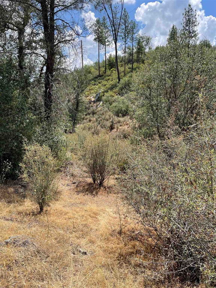 Bull Creek Rd 2S05, Coulterville, CA, 95311