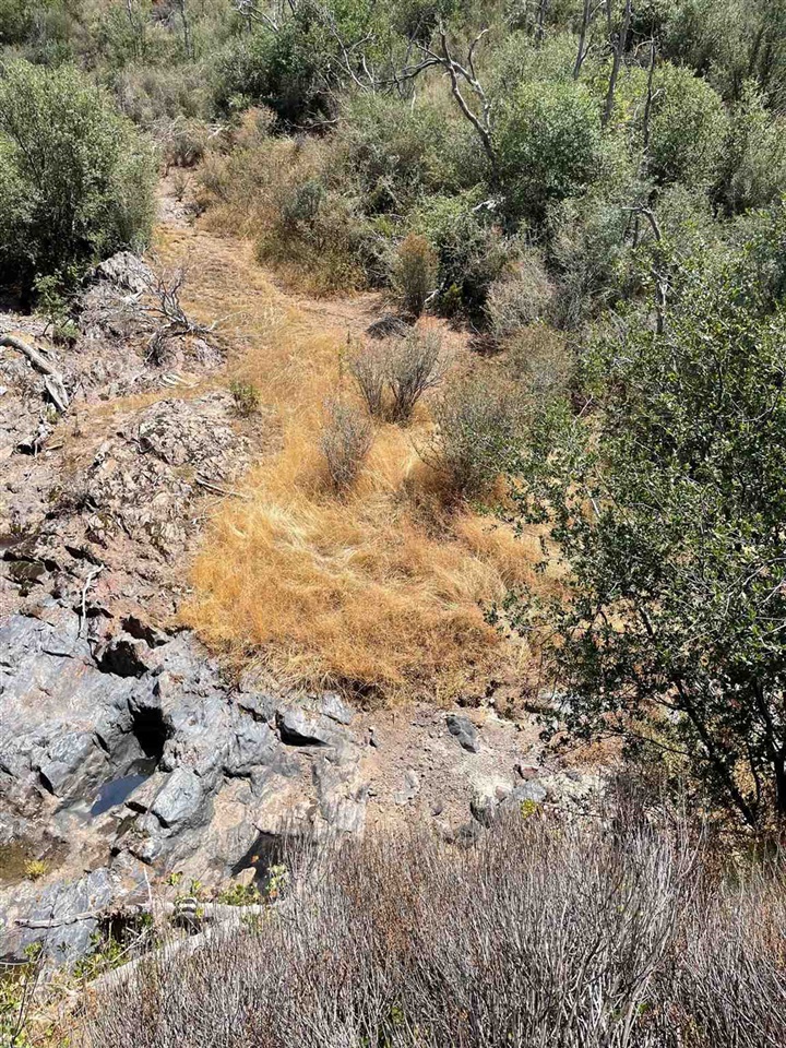 Bull Creek Rd 2S05, Coulterville, CA, 95311