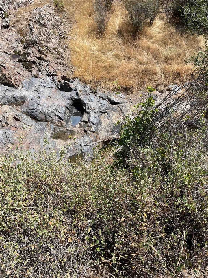 Bull Creek Rd 2S05, Coulterville, CA, 95311