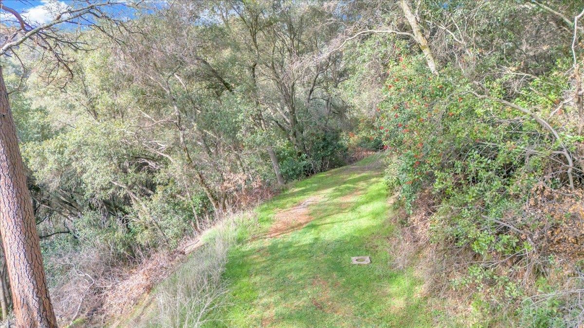 Southgate, Sonora CA 95370 — photo 14