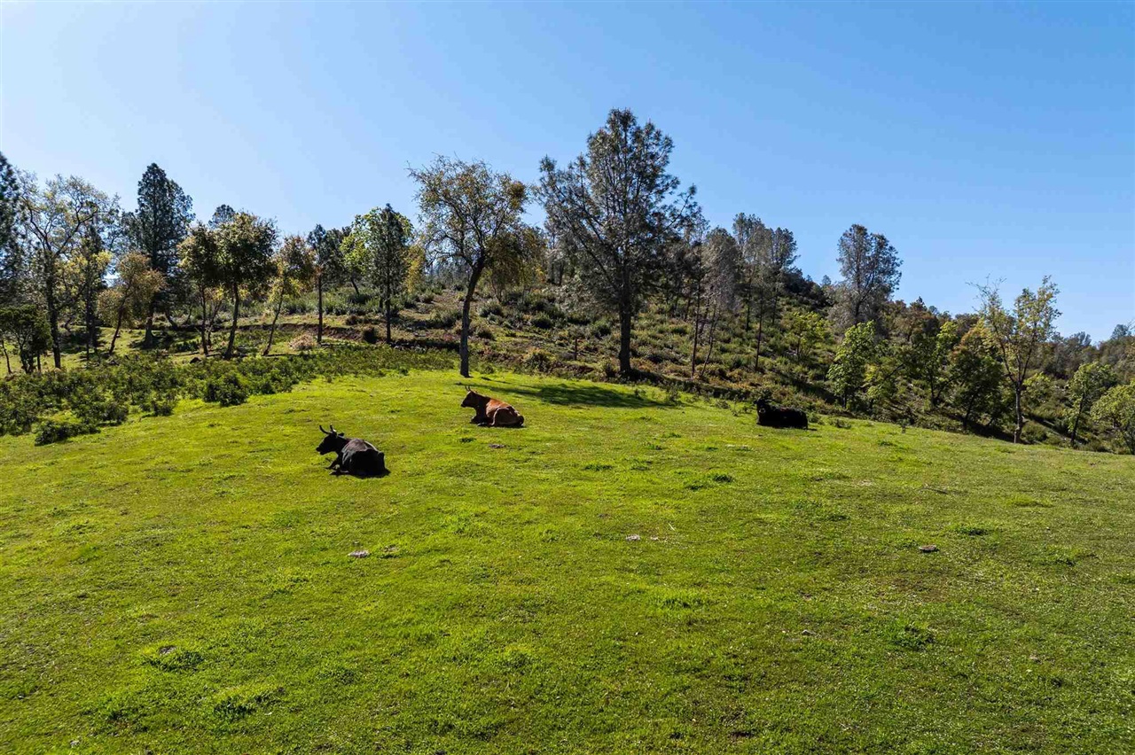 16554 Corcoran Gray Road, Groveland CA 95321 — photo 33