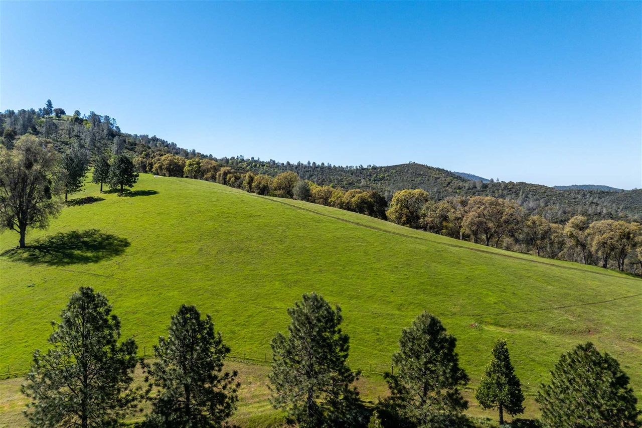 16554 Corcoran Gray Road, Groveland CA 95321 — photo 6