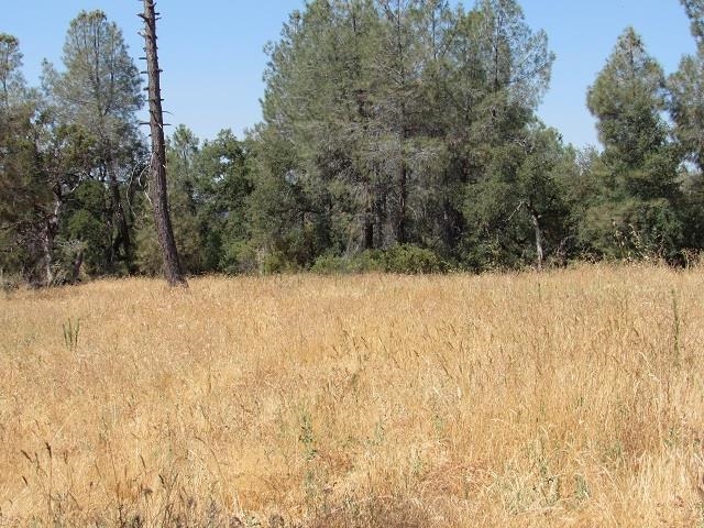 00000 lot 002 Italian Bar Rd., Columbia, CA, 95310