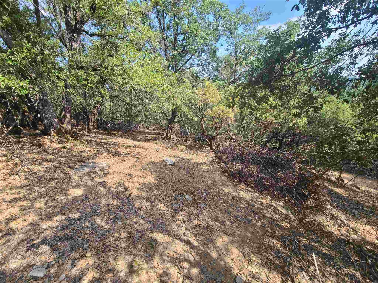 17320 Mount Everest, Sonora CA 95370 — photo 7