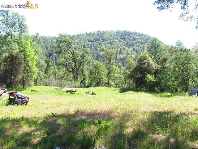 17242 Philadelphia Rd., Twain Harte CA 95383 — photo 17