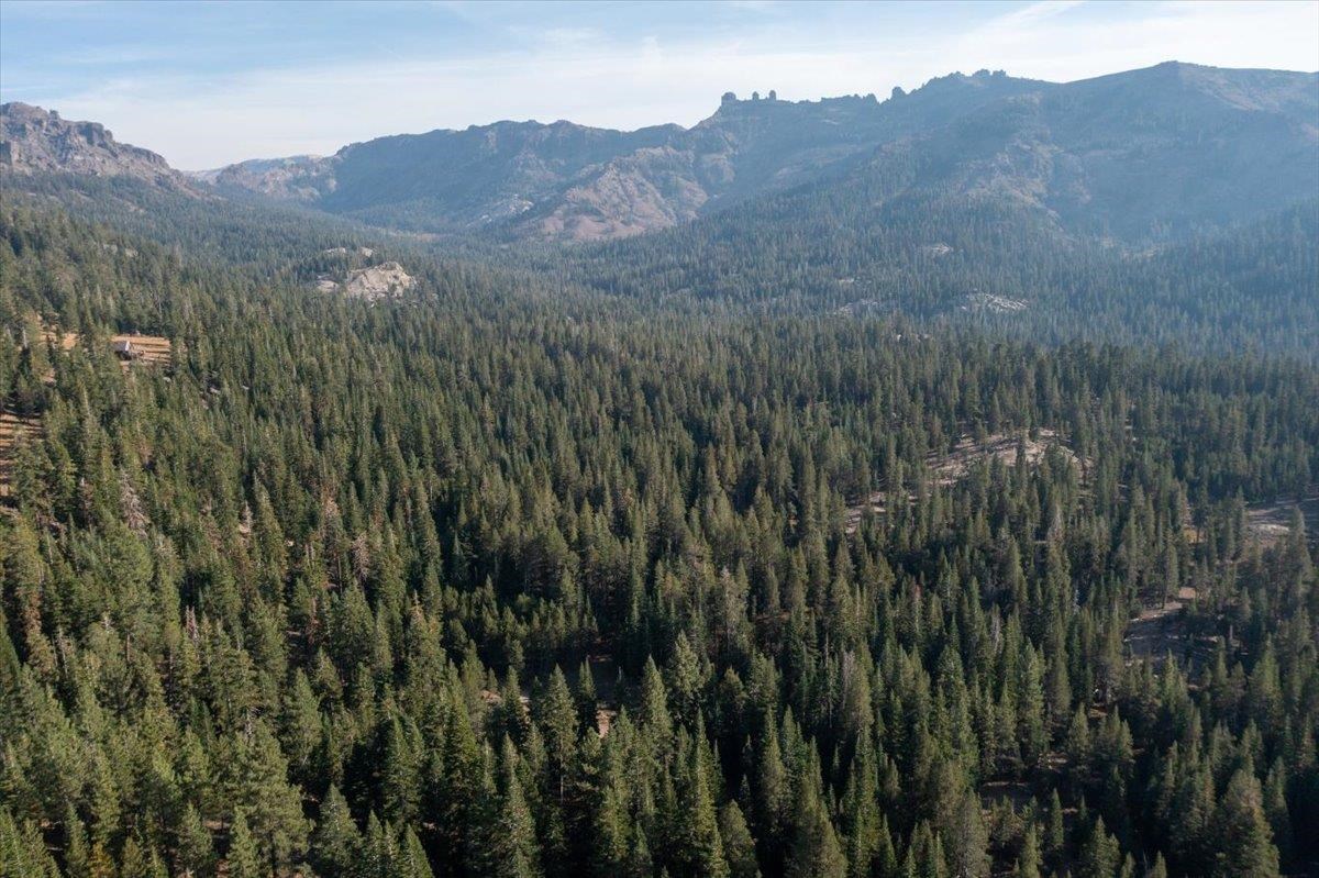 18351 Olov, Sonora, CA, 95370