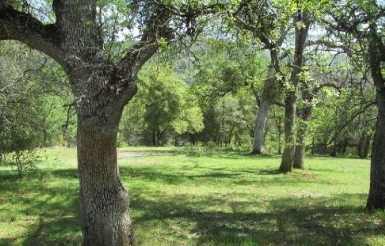 5314 Dogtown, Coulterville, CA, 95311