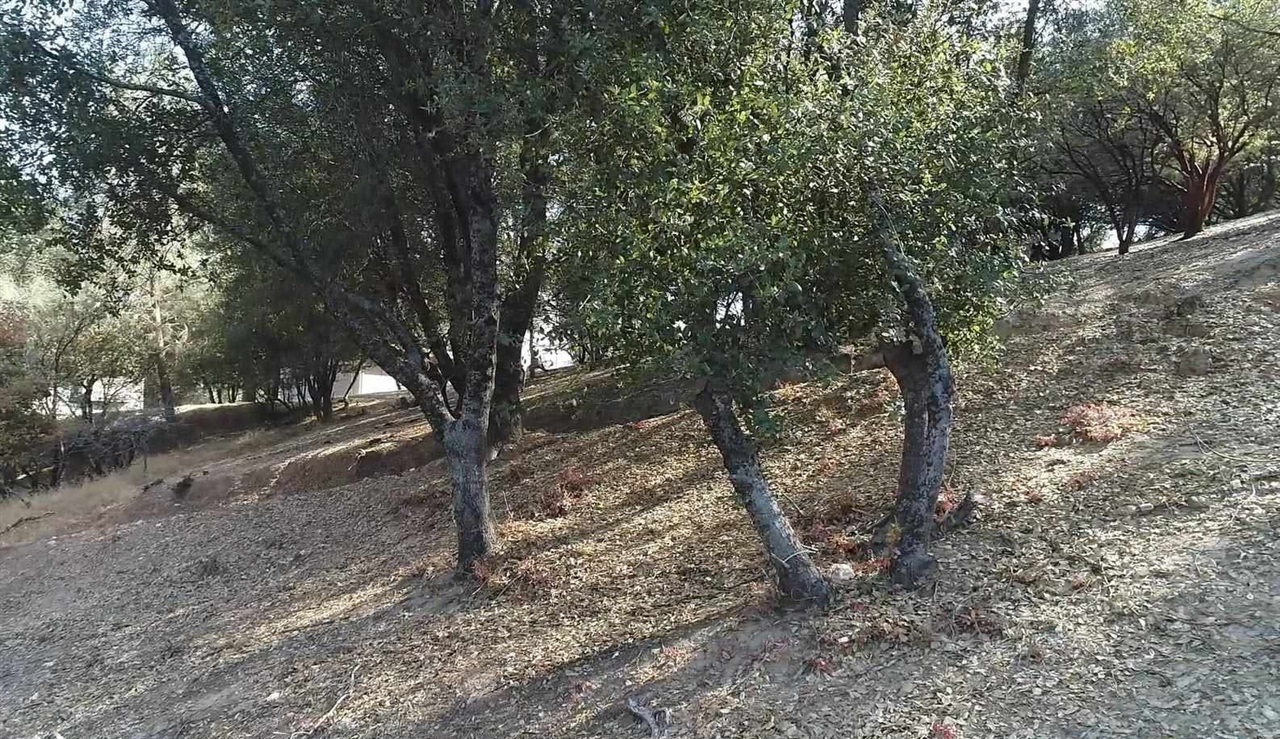 12/238 Hillcroft Dr., Groveland, CA, 95321