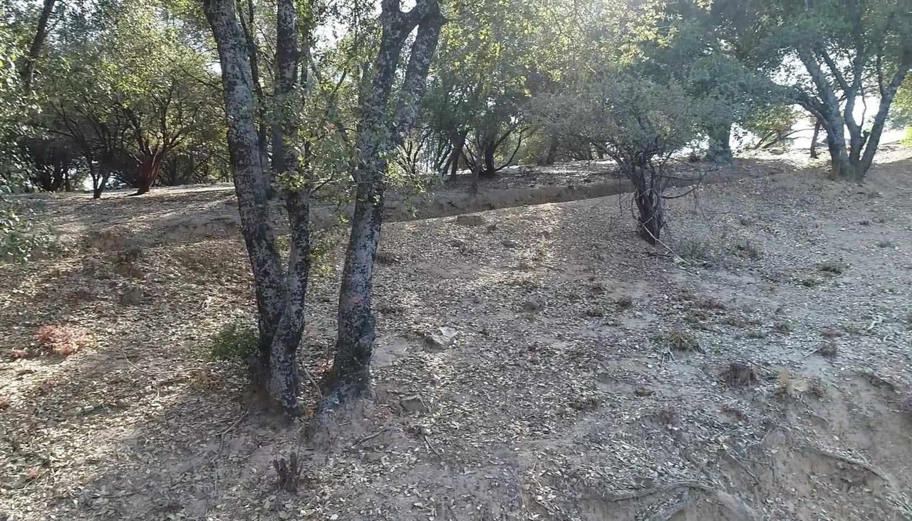 12/238 Hillcroft Dr., Groveland, CA, 95321