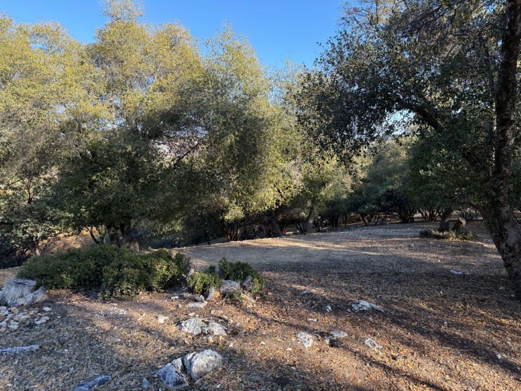 12/238 Hillcroft Dr., Groveland, CA, 95321