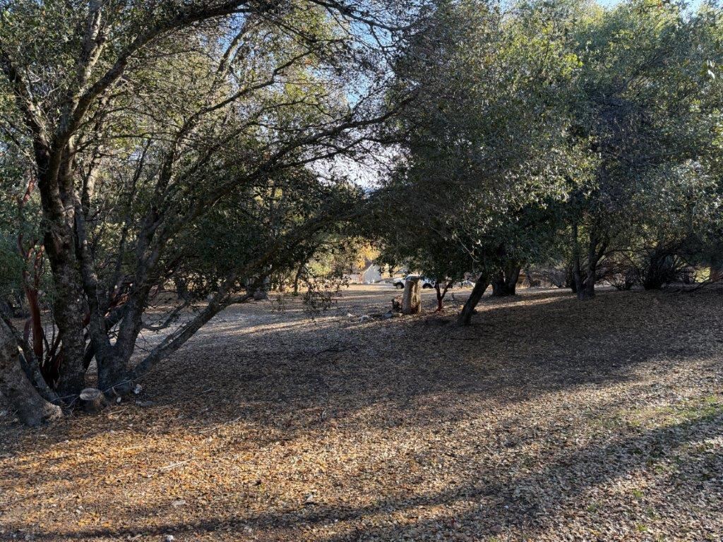 12/238 Hillcroft Dr., Groveland, CA, 95321