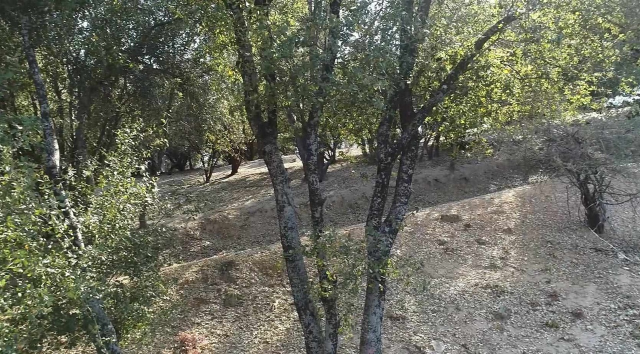 12/238 Hillcroft Dr., Groveland, CA, 95321