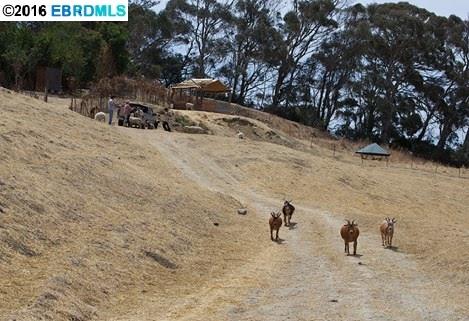 2700 San Pablo Dam Road, San Pablo, CA, 94806