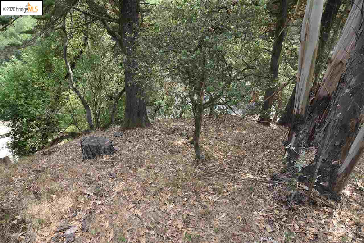 6050 Balboa Dr, Oakland, CA, 94611