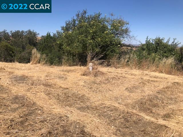 5601 Alhambra Valley Rd, Martinez CA 94553 — photo 6