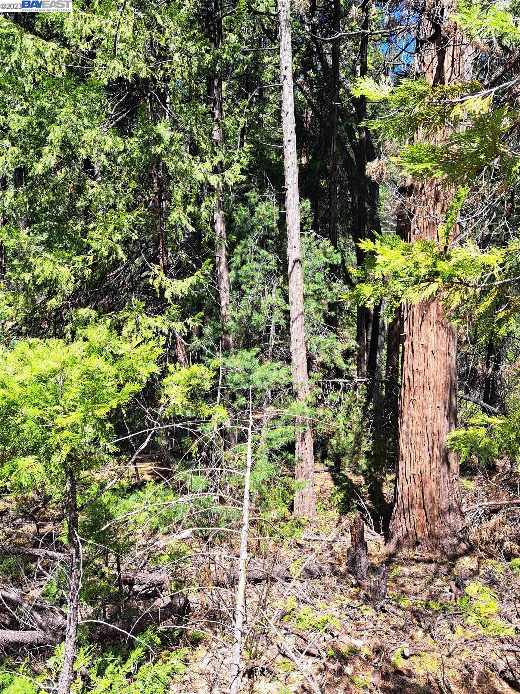 Sly Park, Pollock Pines CA 95726