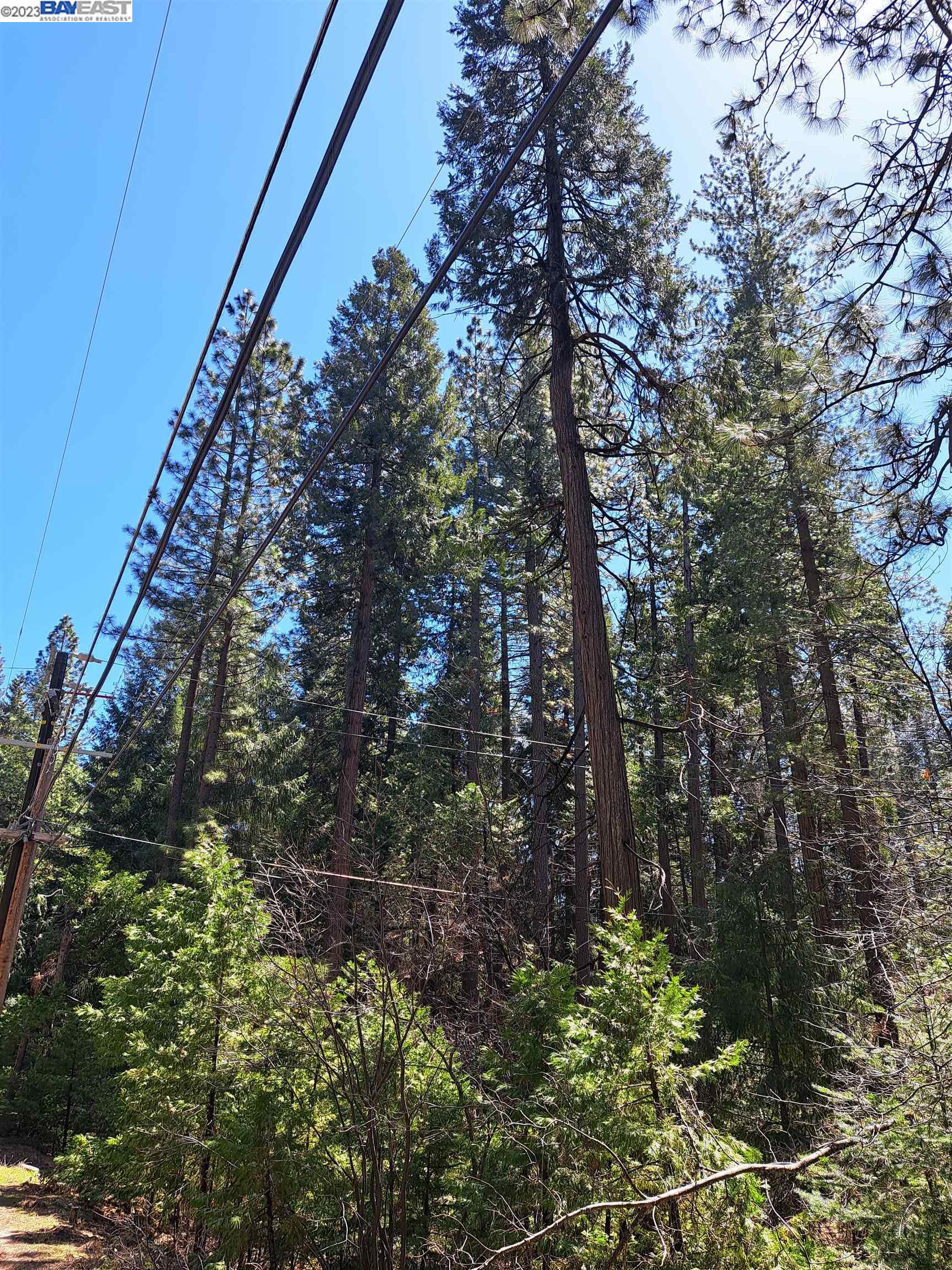 Sly Park, Pollock Pines CA 95726 — photo 13