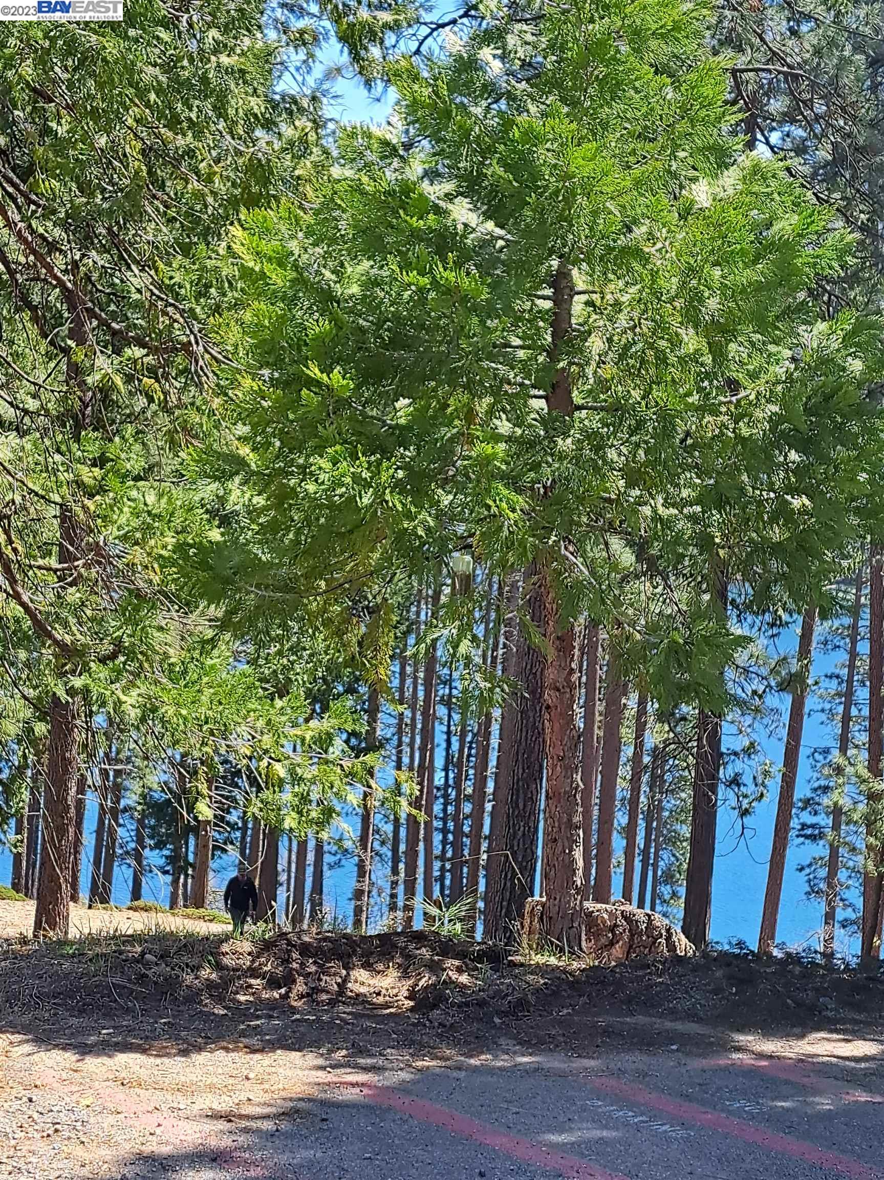 Sly Park, Pollock Pines CA 95726 — photo 15