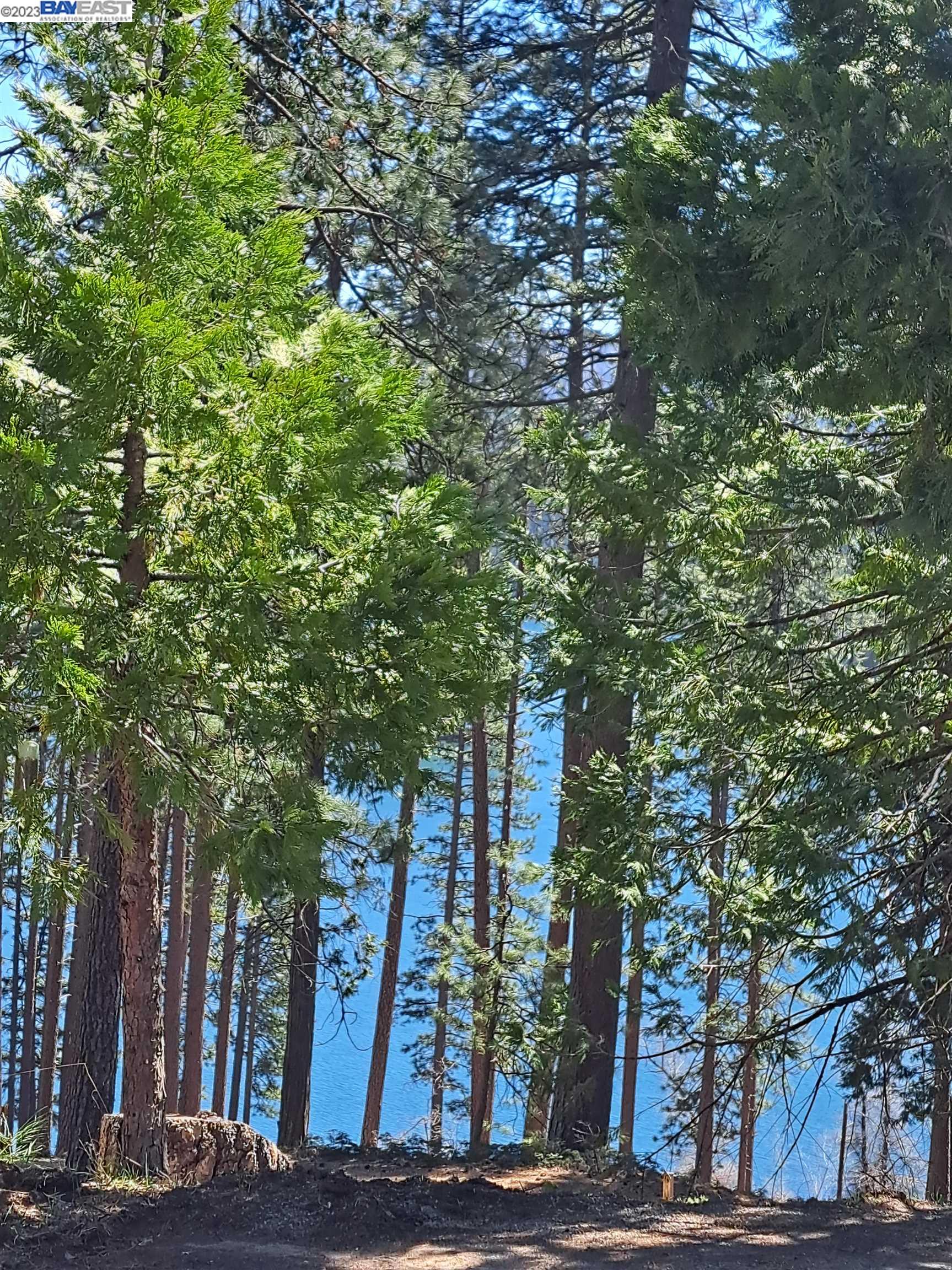 Sly Park, Pollock Pines CA 95726 — photo 16