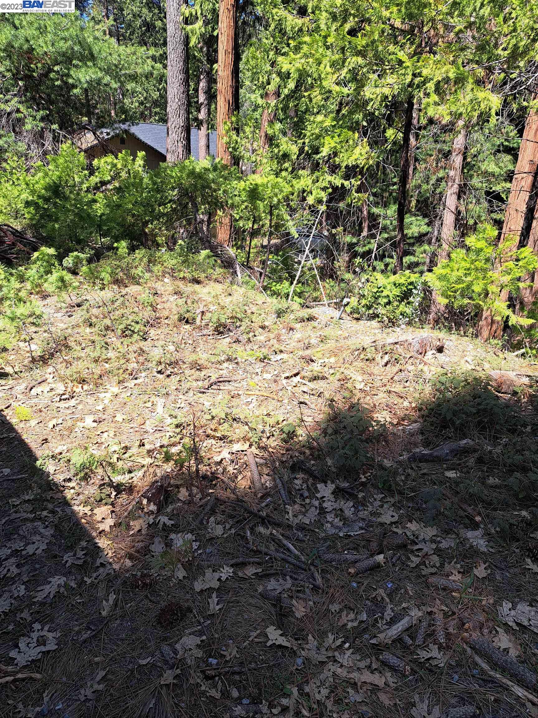 Sly Park, Pollock Pines CA 95726 — photo 5