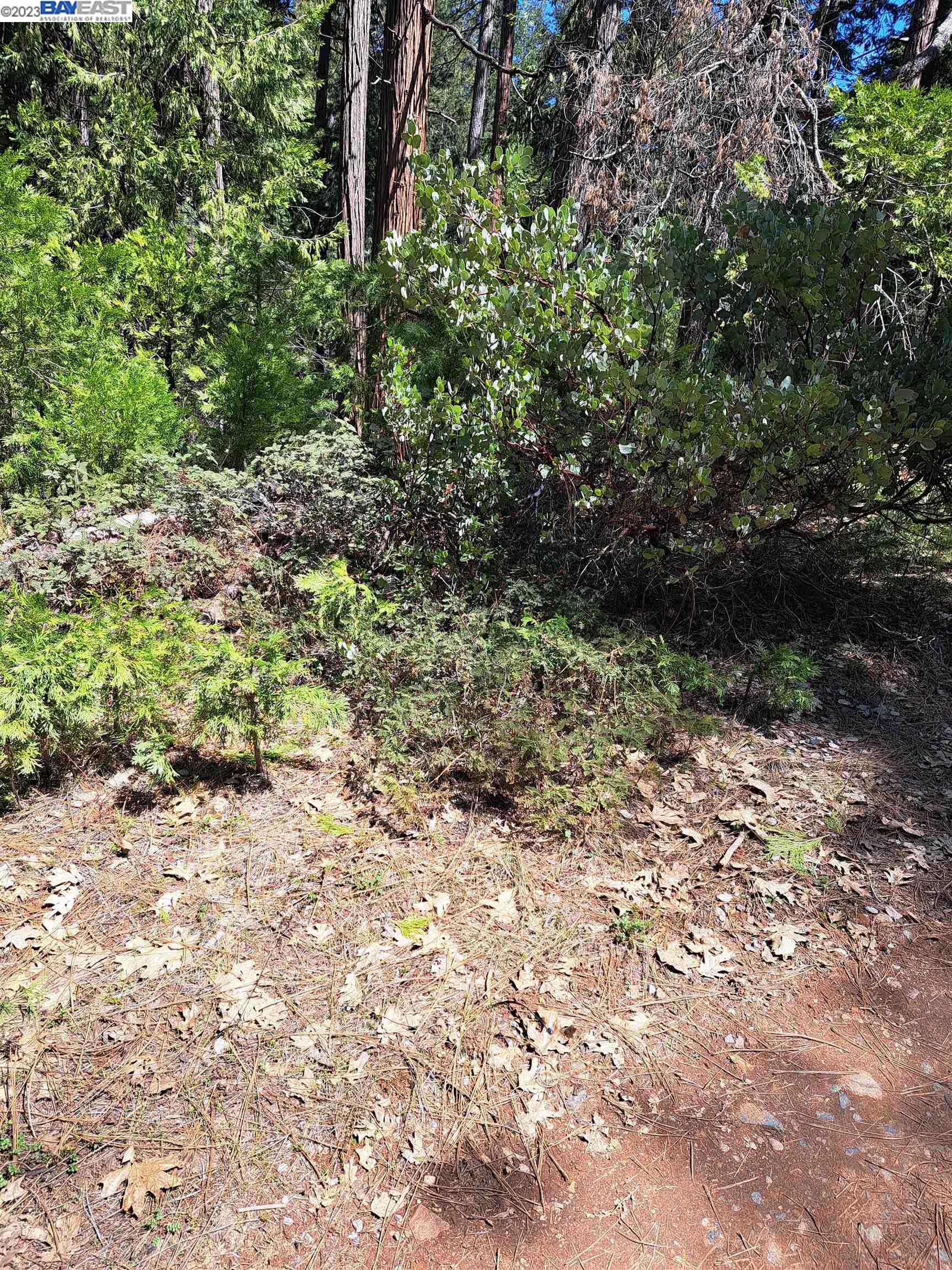 Sly Park, Pollock Pines CA 95726 — photo 6