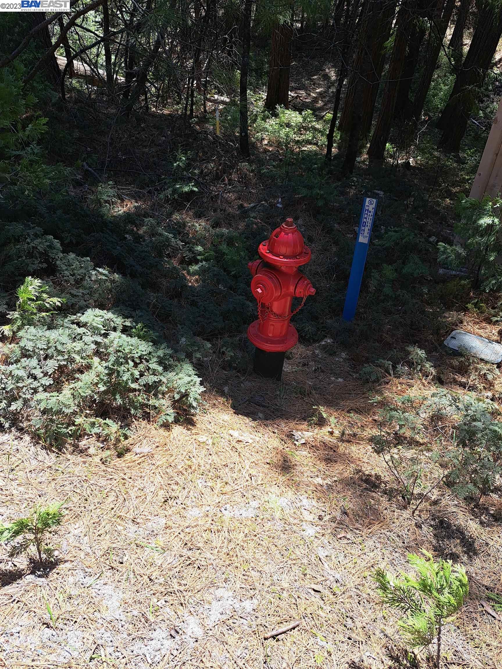 Sly Park, Pollock Pines CA 95726 — photo 9