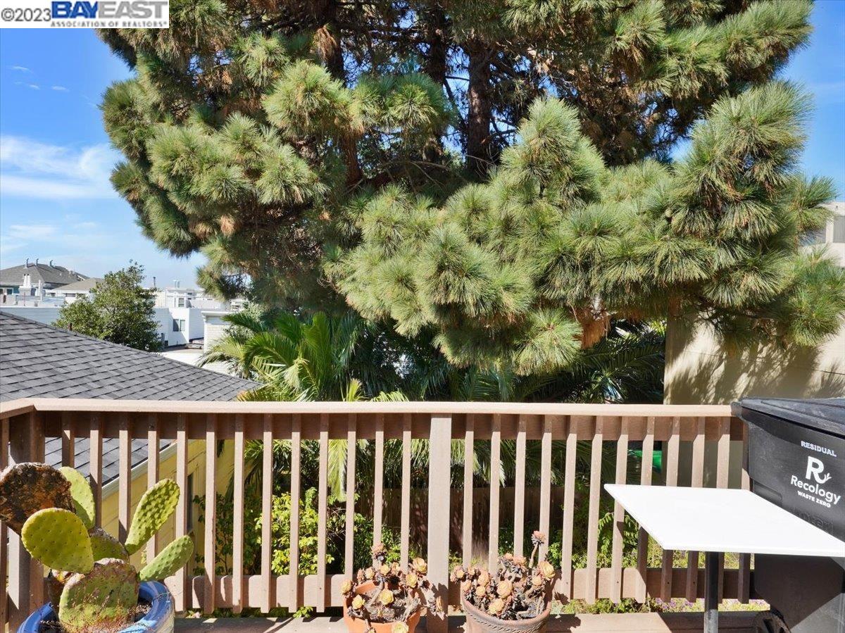 2250 Union St, San Francisco, CA, 94123