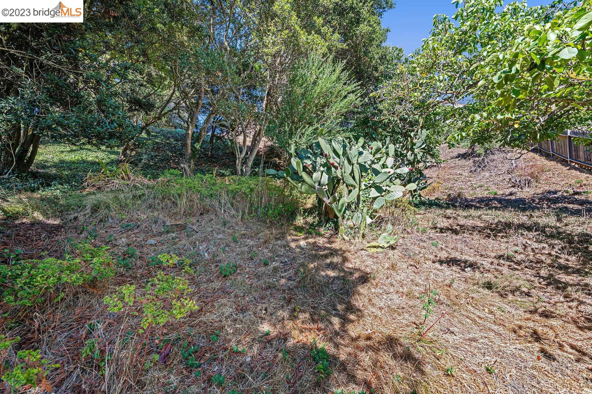 614 Cragmont Ave, Berkeley CA 94708 — photo 8