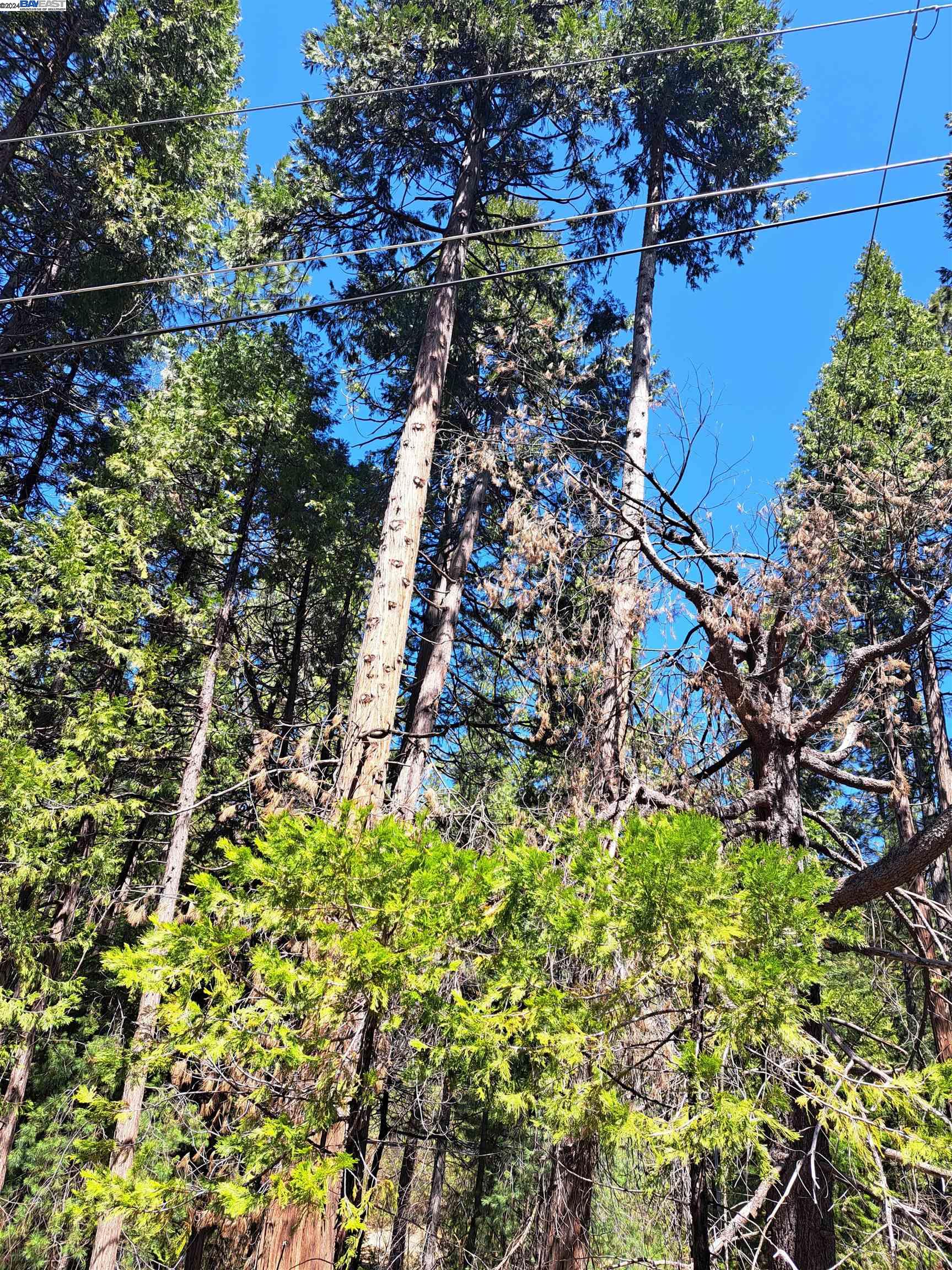 Sly Park, Pollock Pines CA 95726 — photo 3