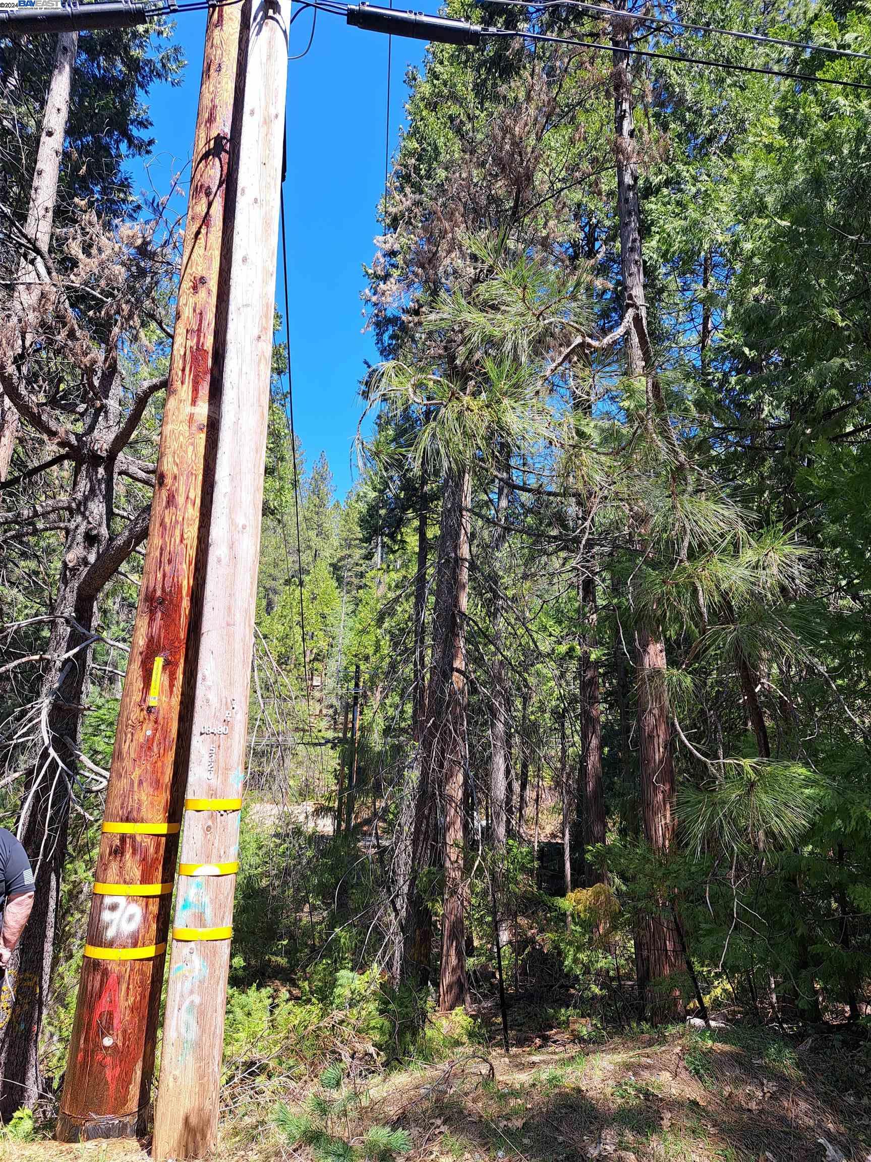 Sly Park, Pollock Pines CA 95726 — photo 4