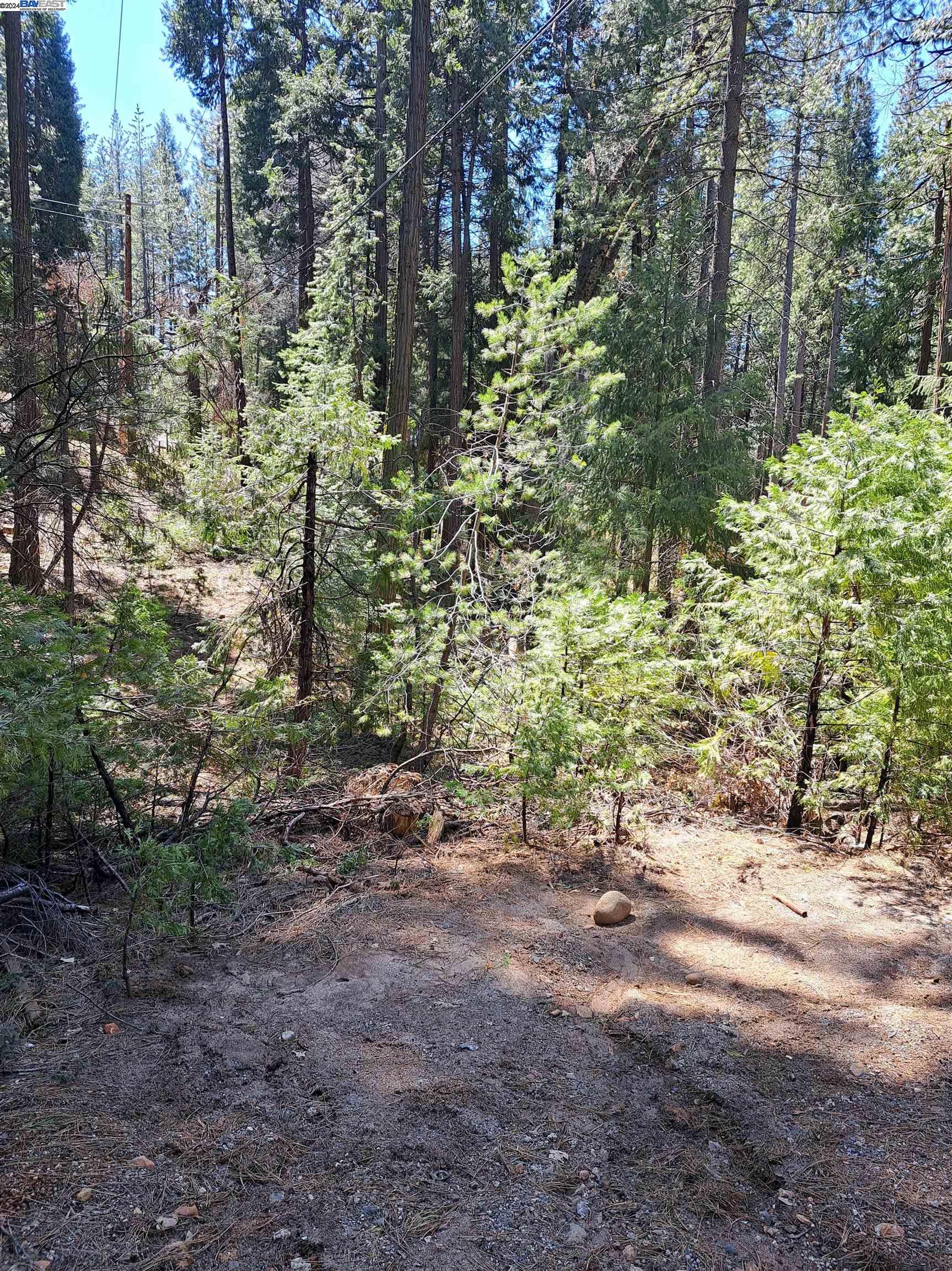 Sly Park, Pollock Pines CA 95726 — photo 10