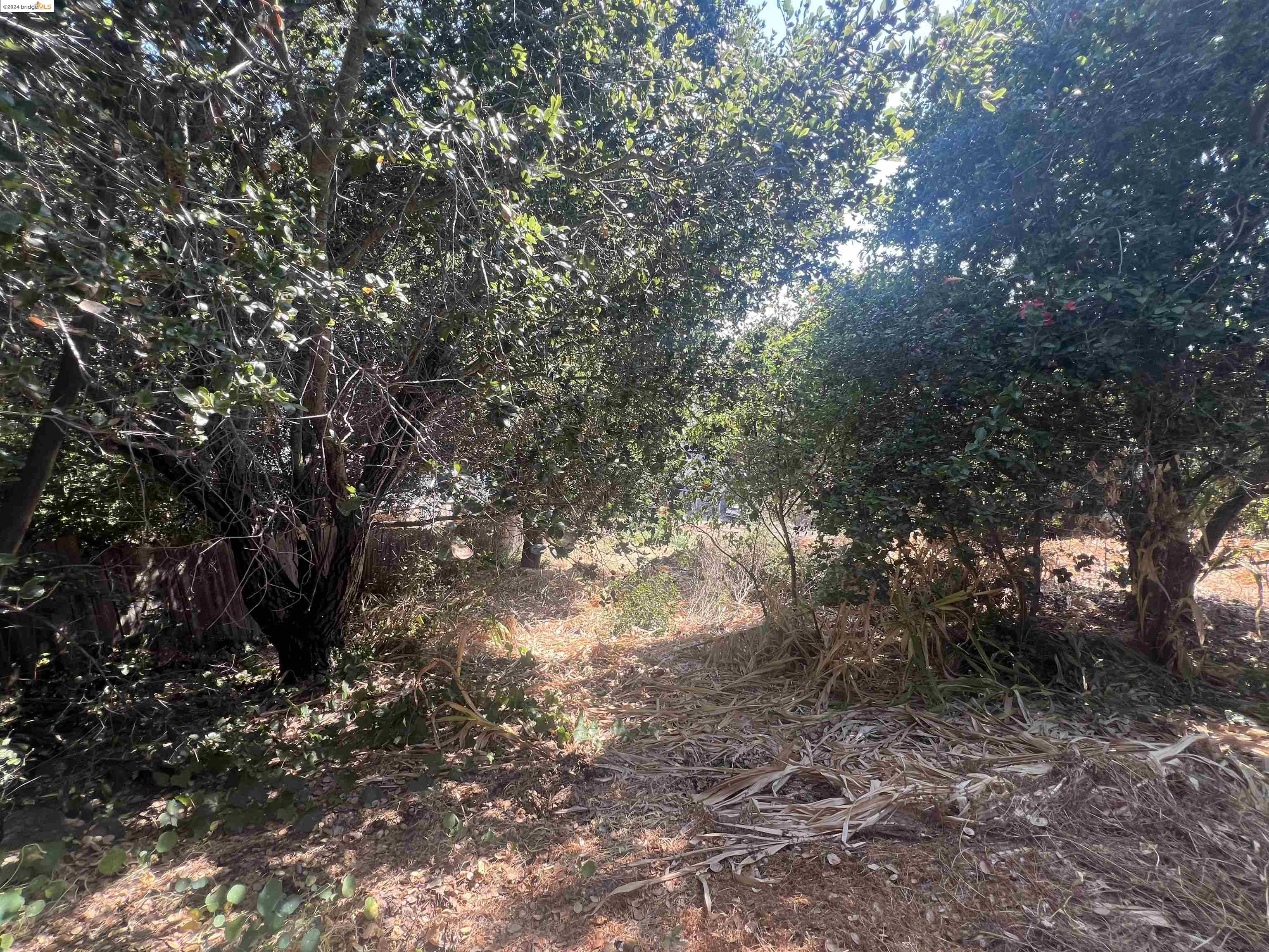 0 Burr Street, Oakland, CA, 94605