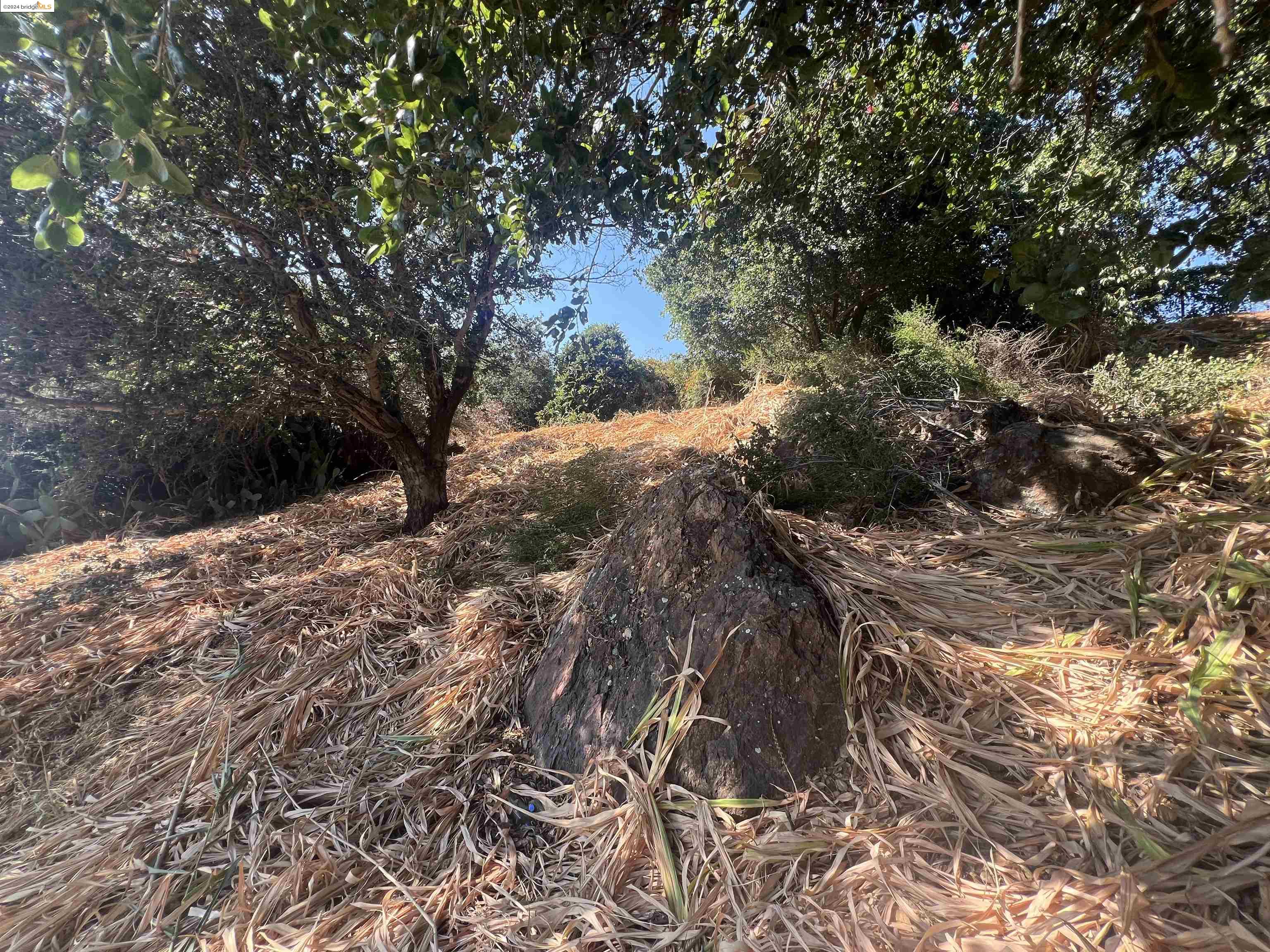 0 Burr Street, Oakland, CA, 94605