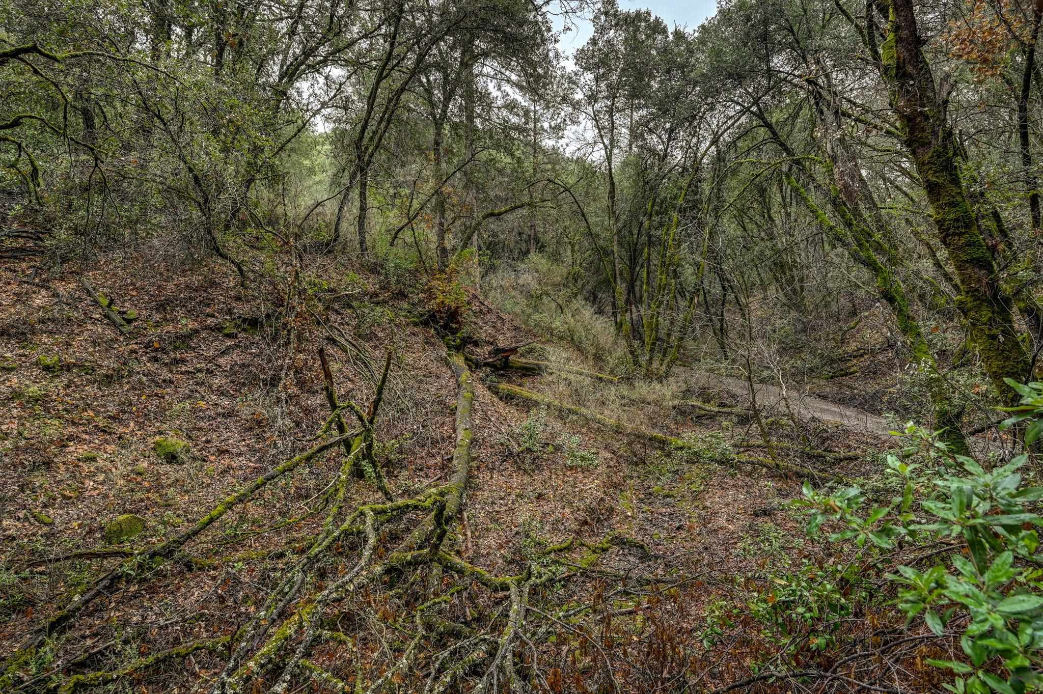 21901 Marcus Ln, Sonora CA 95370 — photo 12