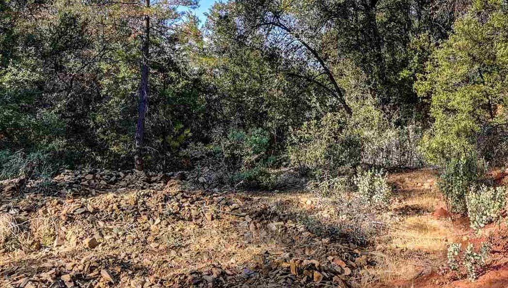 21901 Marcus Ln, Sonora CA 95370 — photo 21