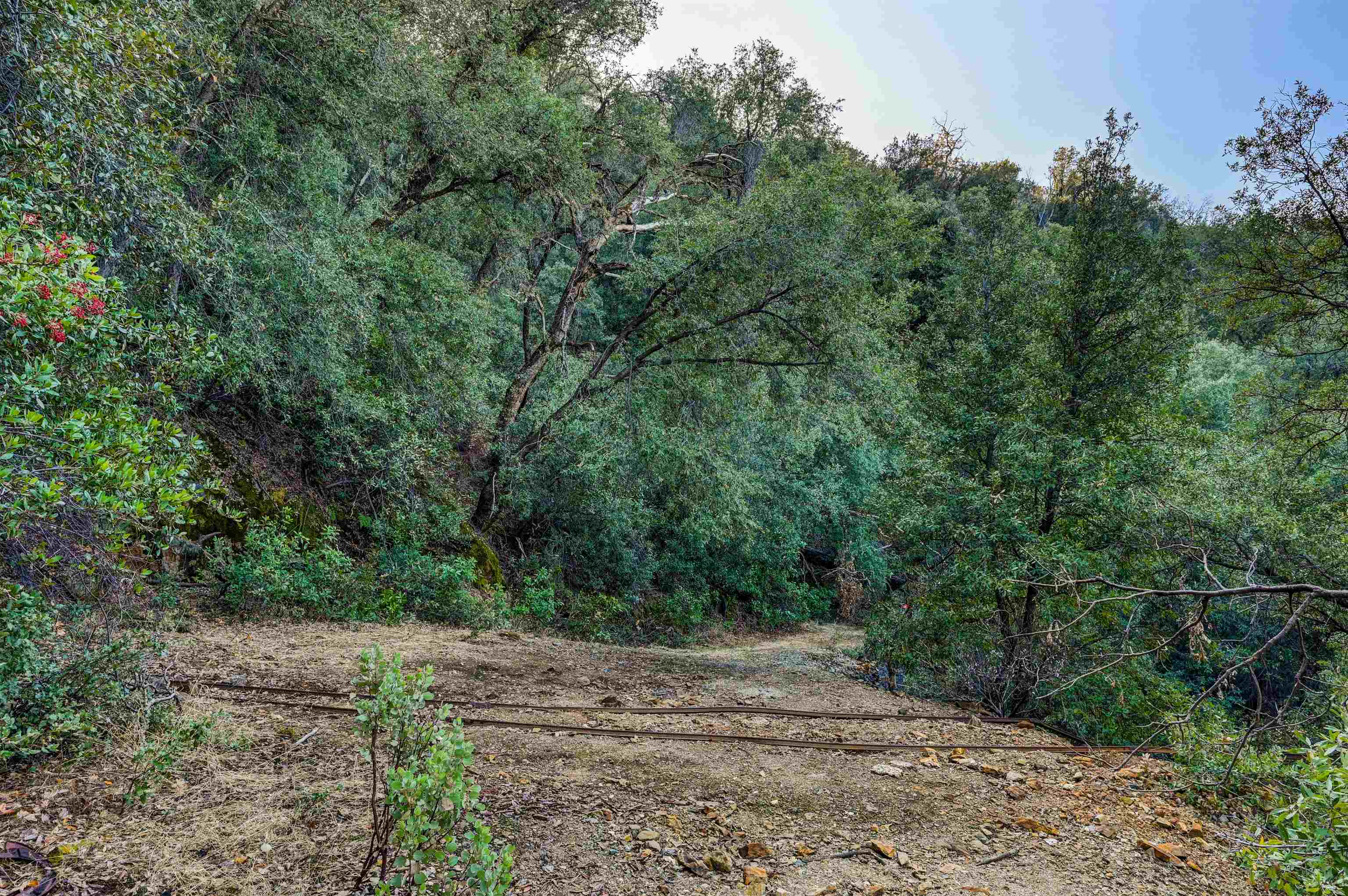 21901 Marcus Ln, Sonora CA 95370 — photo 40