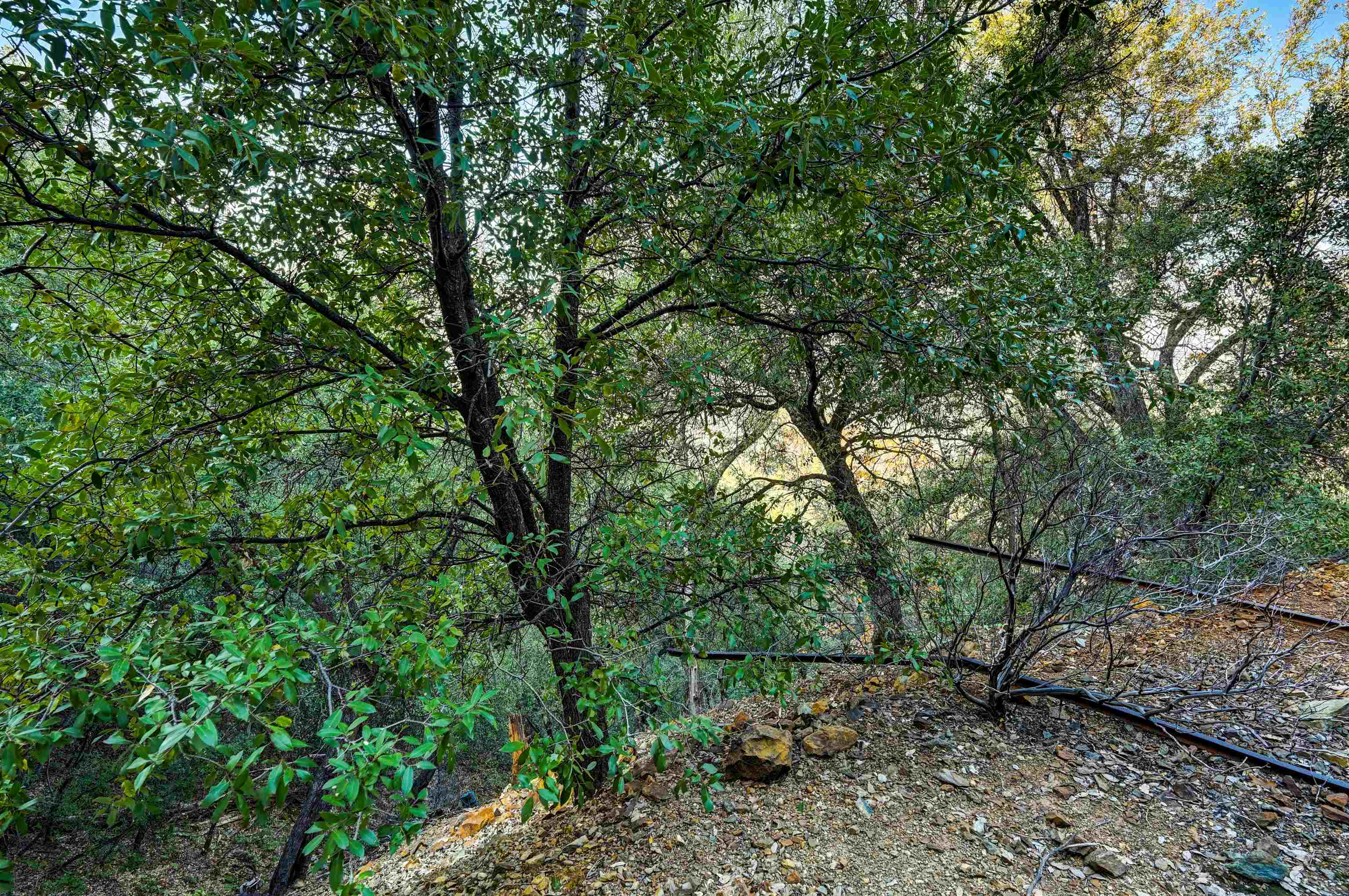21901 Marcus Ln, Sonora CA 95370 — photo 45