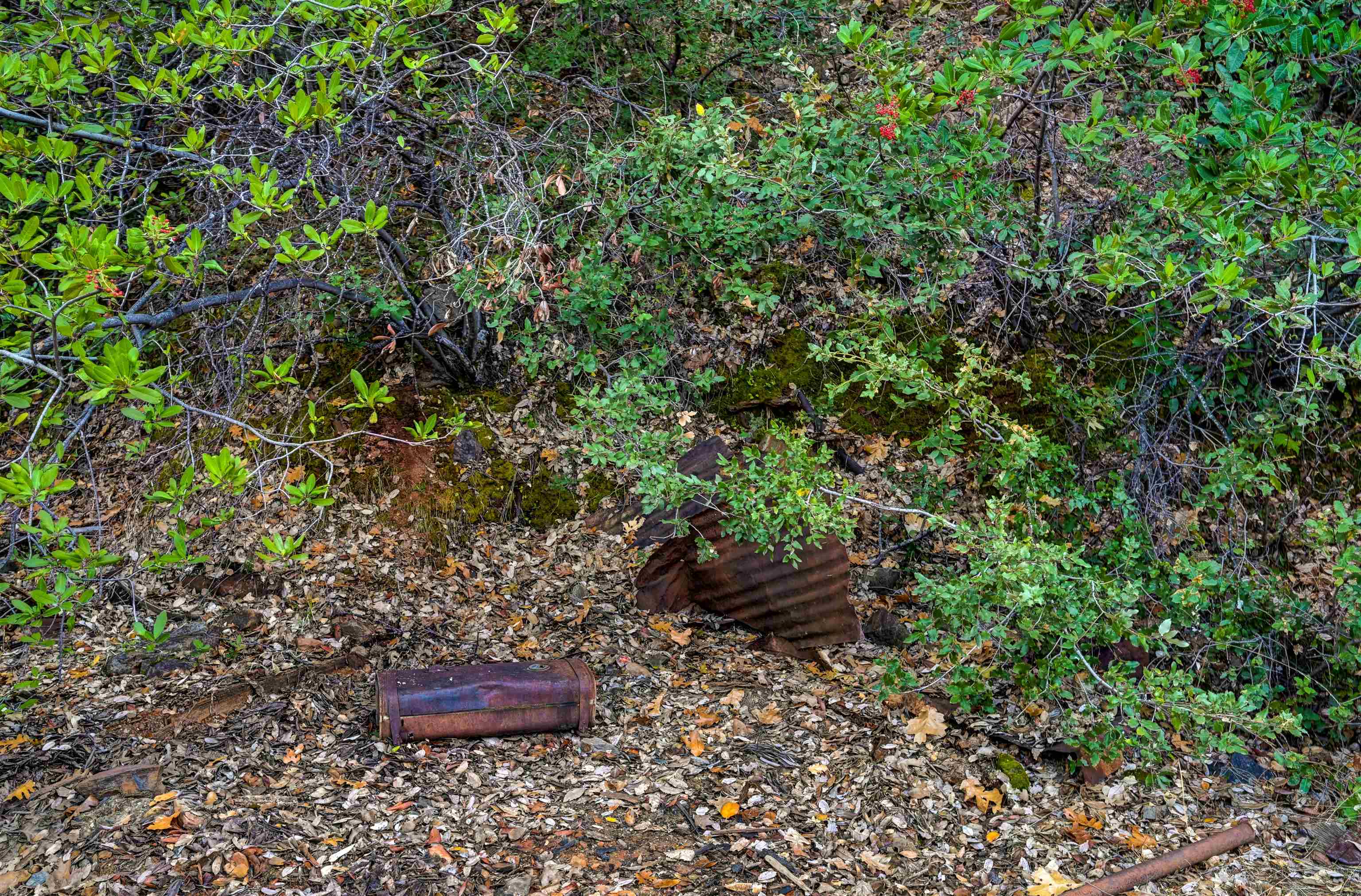 21901 Marcus Ln, Sonora CA 95370 — photo 46
