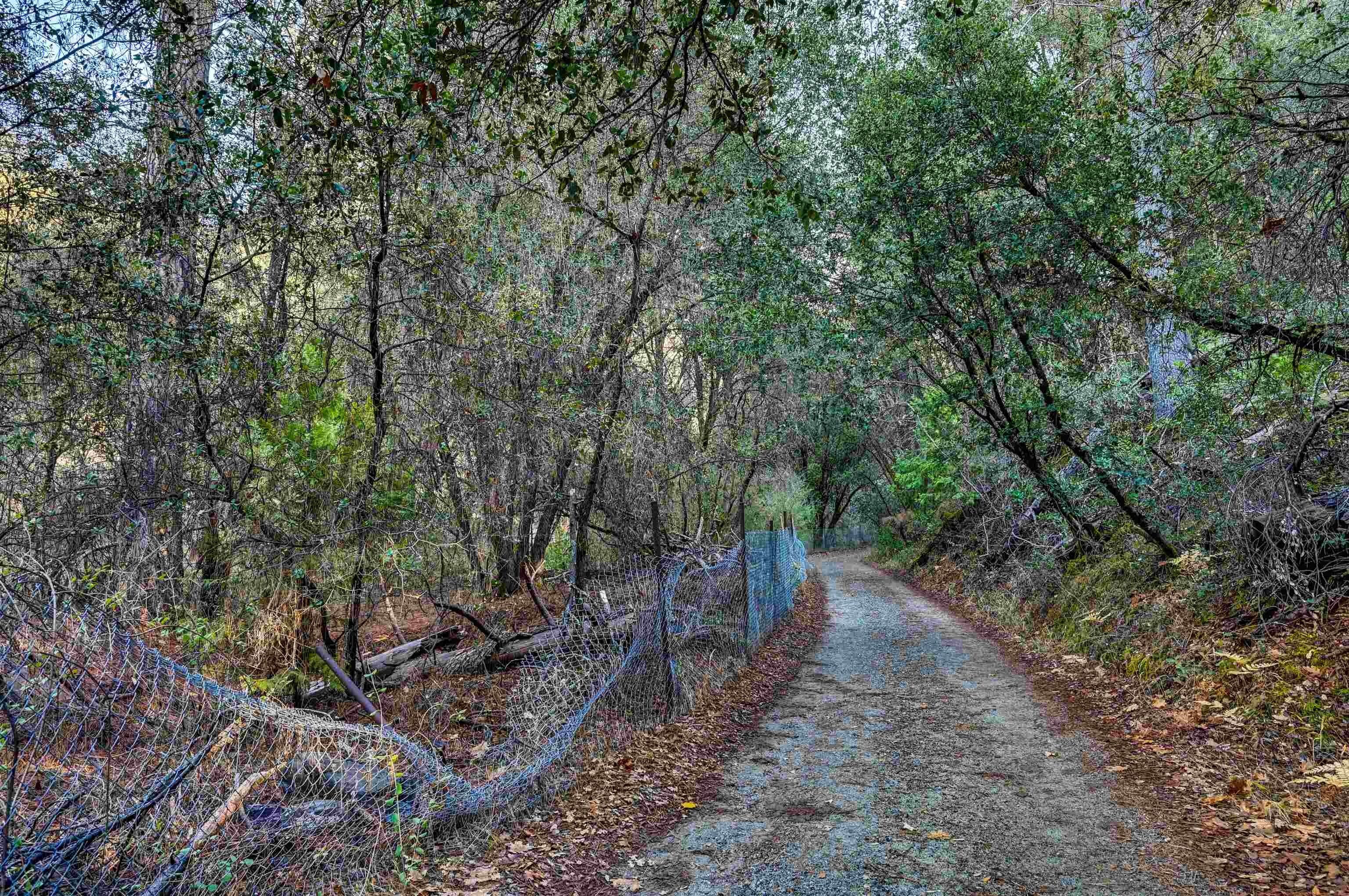 21901 Marcus Ln, Sonora CA 95370 — photo 7